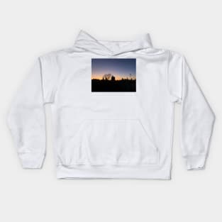 Crown Heights Rooftop Sunset Kids Hoodie